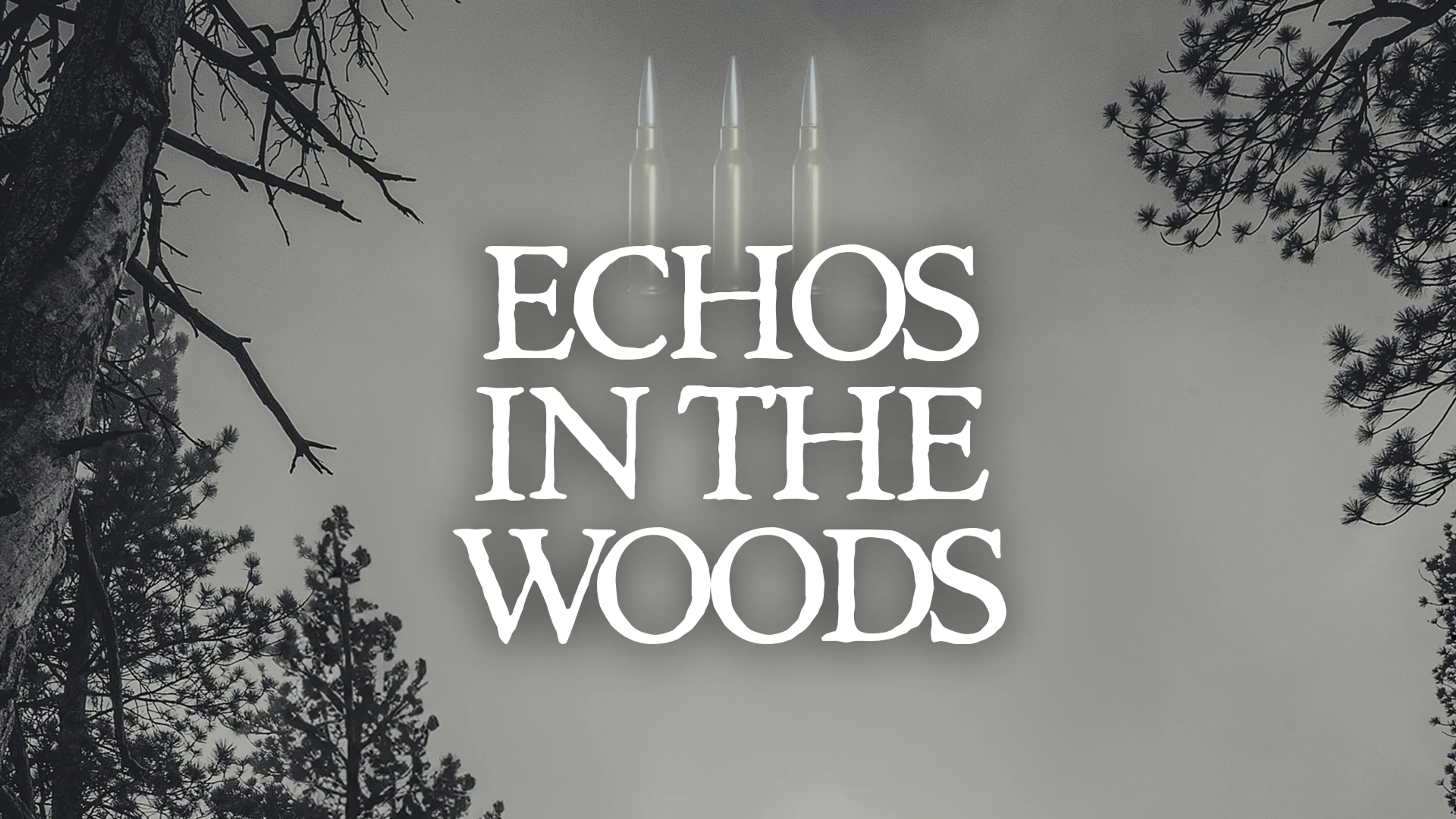 Echos In The Woods poster